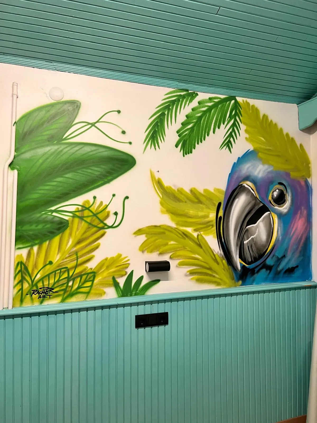 Duvar Graffiti Sanatı